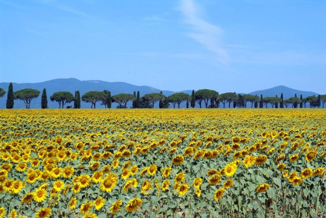 Fotos Los Mejores Destinos Para Visitar En Primavera Las Provincias